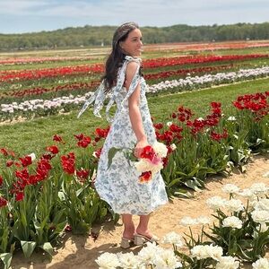 Toile Blue and White Bow Tie Linen Blend Dress